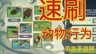 原神须弥四种动物拍照 原神须弥四种动物拍照:探索与记录的自然奇遇 原神须弥四种动物拍照 原神须弥四种动物拍照:探索与记录的自然奇遇
