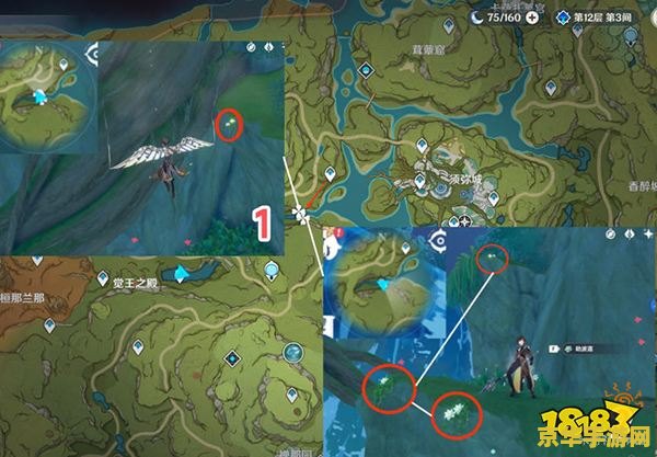 原神劫波莲采集路线 原神劫波莲采集路线分析
