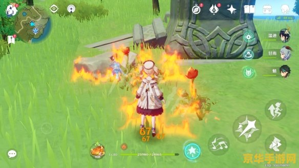 原神火焰花哪里多 原神火焰花哪里多：全面探索与采集指南