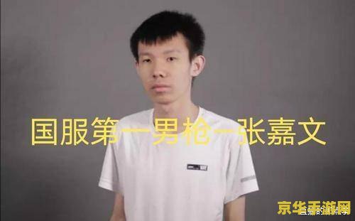 英雄联盟张嘉文男枪 &lt;h3&gt;英雄联盟：张嘉文男枪的风采与战术解析&lt;/h3&gt;