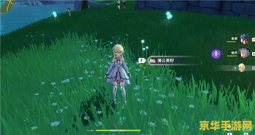 原神蒲公英有什么用 原神蒲公英的多样用途 原神蒲公英有什么用 原神蒲公英的多样用途