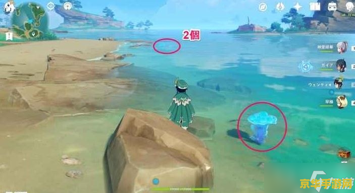 原神稻妻海灵芝采集点 原神稻妻海灵芝采集点详解