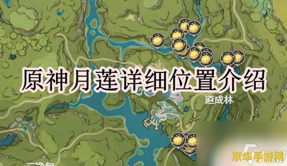 原神里面的月莲 原神中的珍稀植物:月莲深度解析 原神里面的月莲 原神中的珍稀植物:月莲深度解析