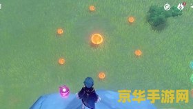 原神可以用来拍照的红色的生物 原神中可拍照的红色生物探索