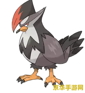 原神飞行宠物有哪些 原神飞行宠物有哪些