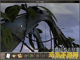 原神生命之树在哪 原神中的生命之树探索