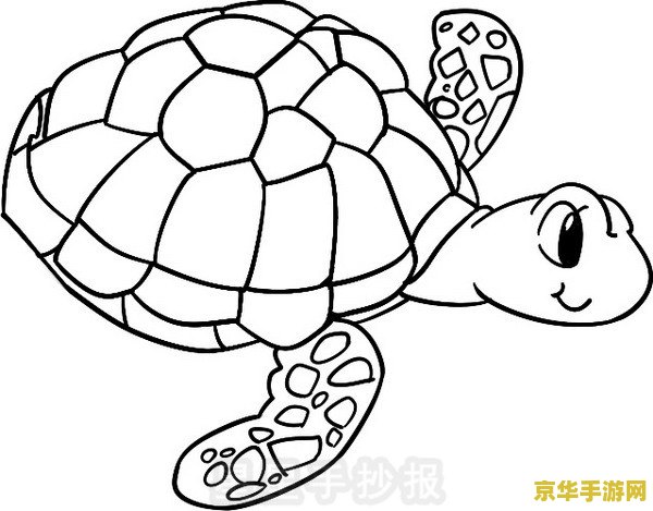 海灵芝简笔画原神 <h1>海灵芝简笔画原神</h1>