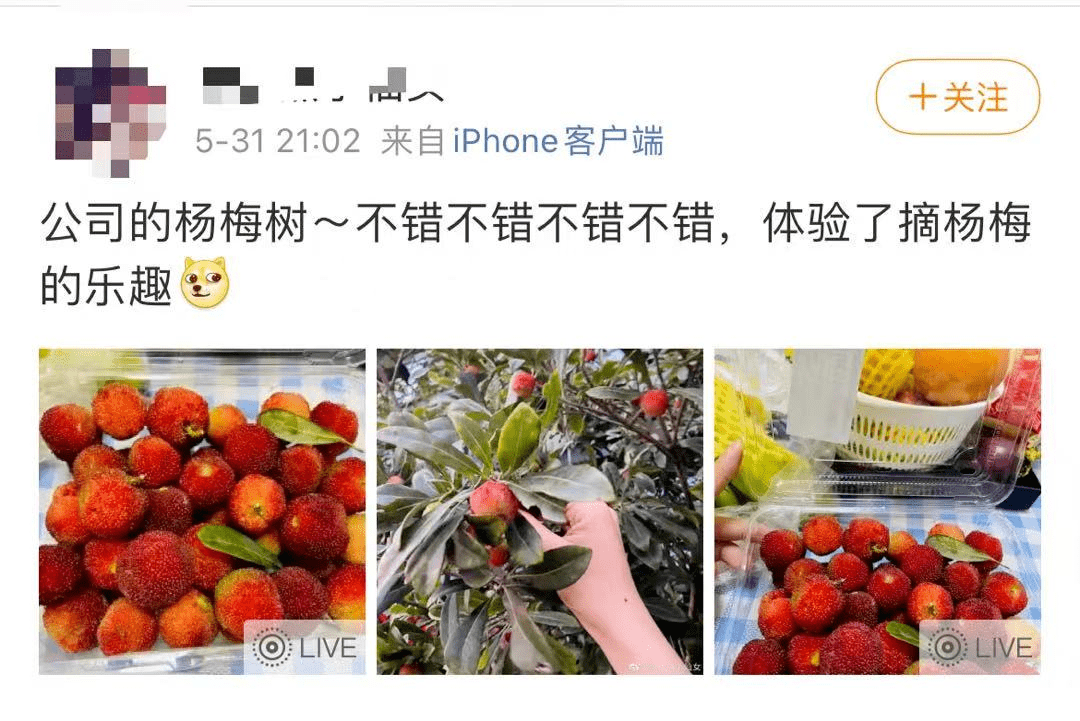 原神红血 原神红血状态解析与应对策略