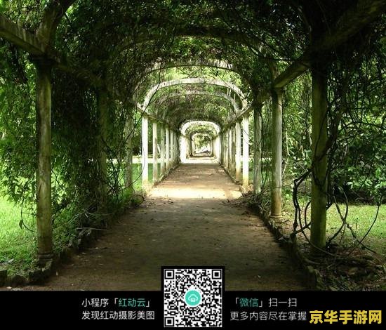 原神庭院深处的走廊 原神：探索庭院深处的走廊