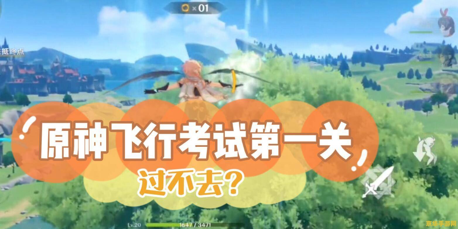原神飞行考试过不去 原神飞行考试难点攻略与技巧分享