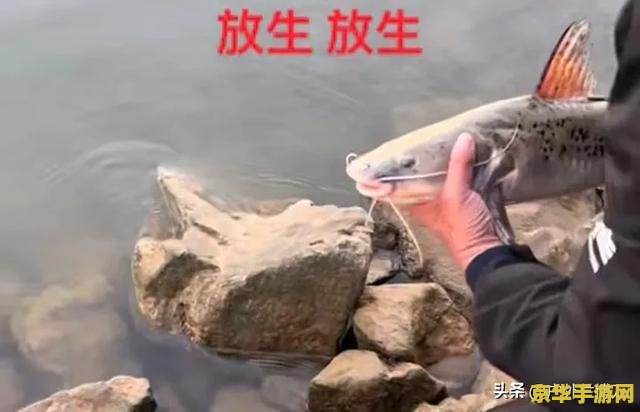 原神钓上来的鱼能干嘛 原神钓上来的鱼能干嘛
