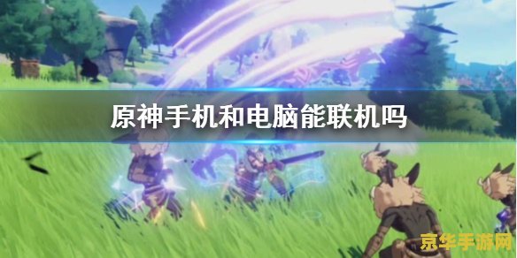 原神电脑手机能否联机 原神电脑与手机能否联机分析