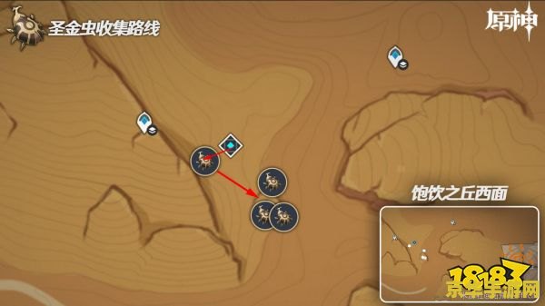 原神圣金虫在哪里采集 原神圣金虫在哪里采集