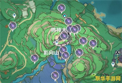 原神鬼兜虫和钩钩果选哪个 原神鬼兜虫与钩钩果的选择分析