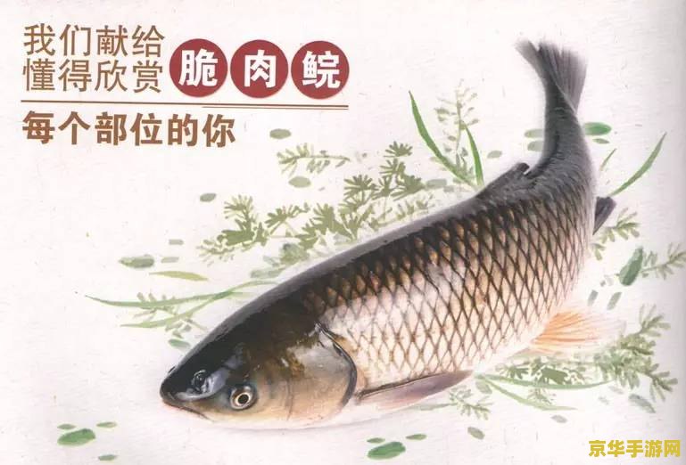 原神鱼类 原神鱼类生态与垂钓指南
