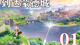 原神飞行许可证考不过