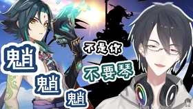 原神不收集风神瞳有什么用