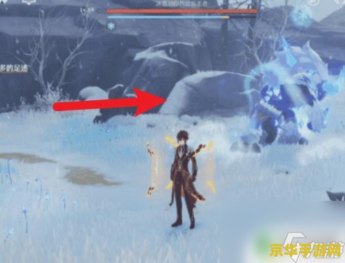 原神冰霜铠王