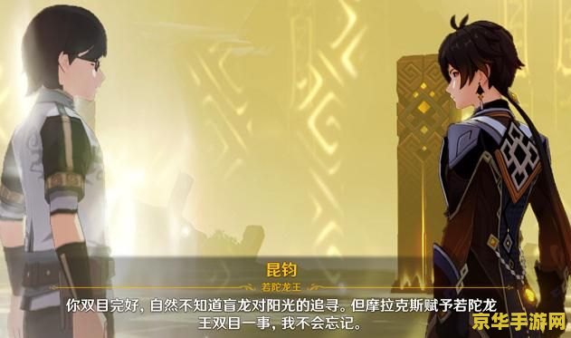 原神20问