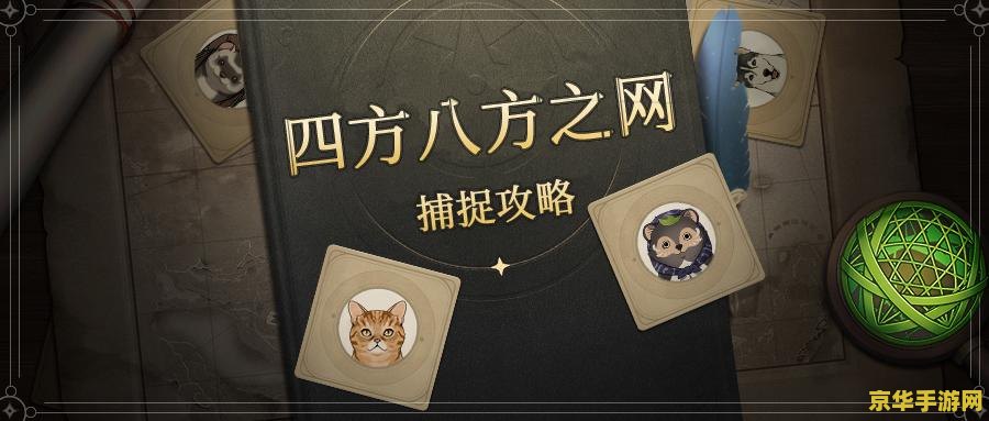 原神四方八方之网怎么获取