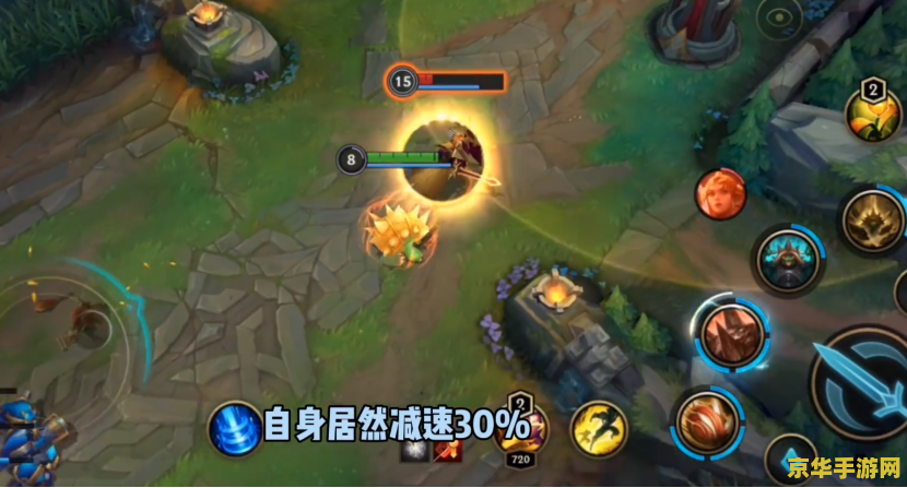 英雄联盟手游龙龟图片