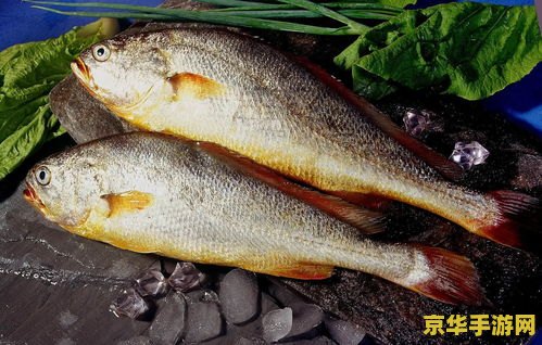 原神鱼吃什么饵料最好