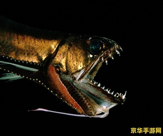 原神深海龙蜥研究所事件任务