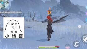 原神雪山冰面仙灵转圈圈
