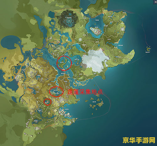 原神莲蓬多少钱