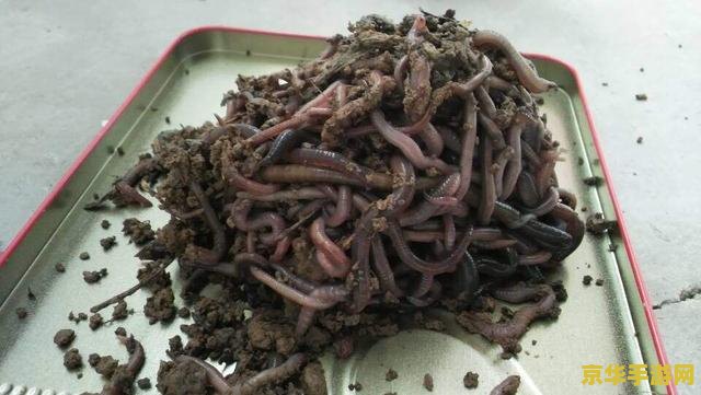 原神蚯蚓鱼饵配方