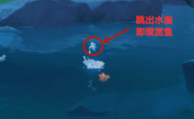 原神观赏鱼去哪钓