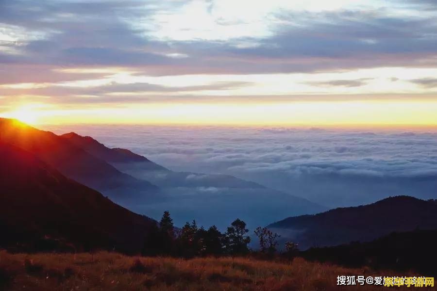 原神看日落地点