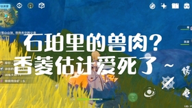 原神真奇货品有什么用