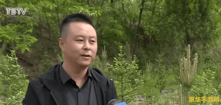 原神童心的隐秘任务