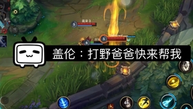 阿木木打野英雄联盟手游贴吧