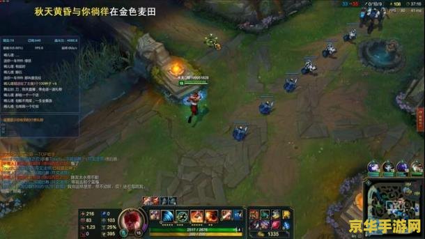 英雄联盟盲僧是什么职业
