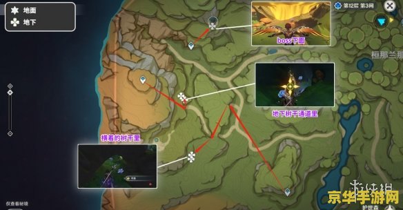 原神须弥树王圣体菇位置