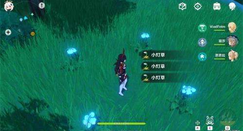 原神哪里有卖小灯草