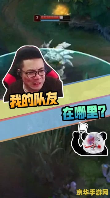 大司马英雄联盟视频