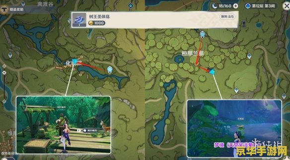 树王圣体菇原神