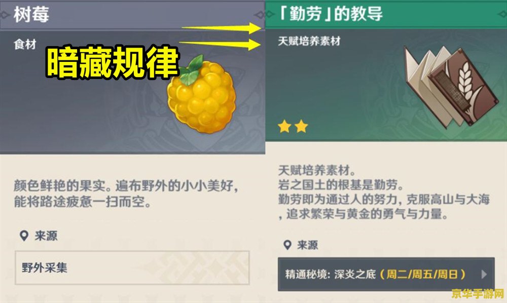 原神质变仪最好能得什么