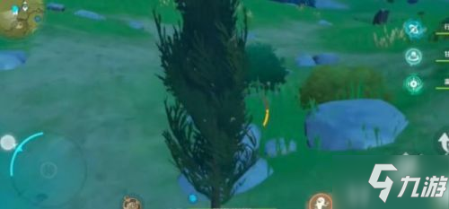 原神松木在哪儿