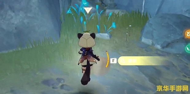 原神寻找失踪的收藏品