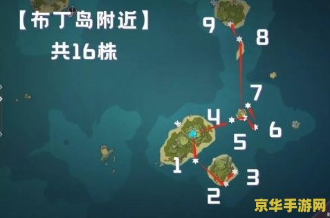 原神海灵芝采集路线图最新2023