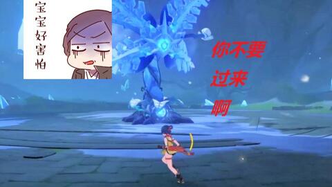 原神急冻树在哪有