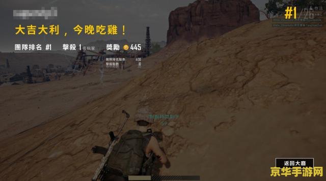 调查遗迹奇怪的石头原神