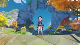原神琉璃袋哪里有卖