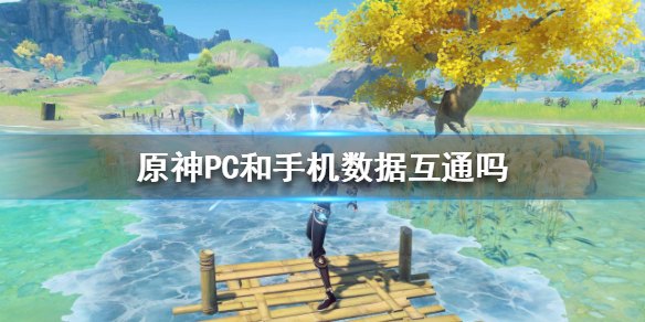 原神pc端跟手机端数据互通吗