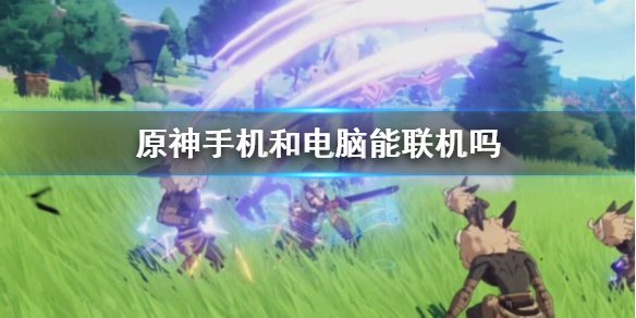 原神pc端跟手机端数据互通吗