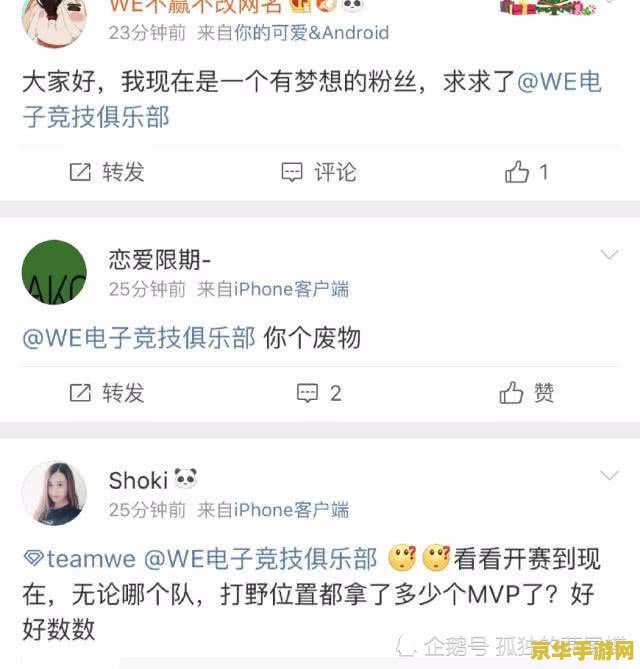 英雄联盟we头像由来